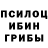Псилоцибиновые грибы мицелий Archangel1991