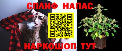 прущие крисы Дубна