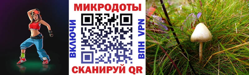 Галлюциногенные грибы мицелий  Ессентуки 