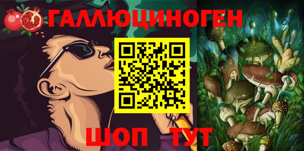 Ессентуки  Псилоцибиновые грибы мицелий  Вход с VPN  Галлюциногенные грибы Psilocybine cubensis 