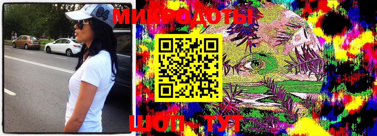 Галлюциногенные грибы Psilocybine cubensis Ессентуки